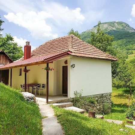 Farmstead Green Haven Mojkovac Kültér fotó
