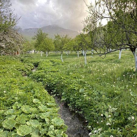 Farmstead Green Haven Mojkovac Kültér fotó