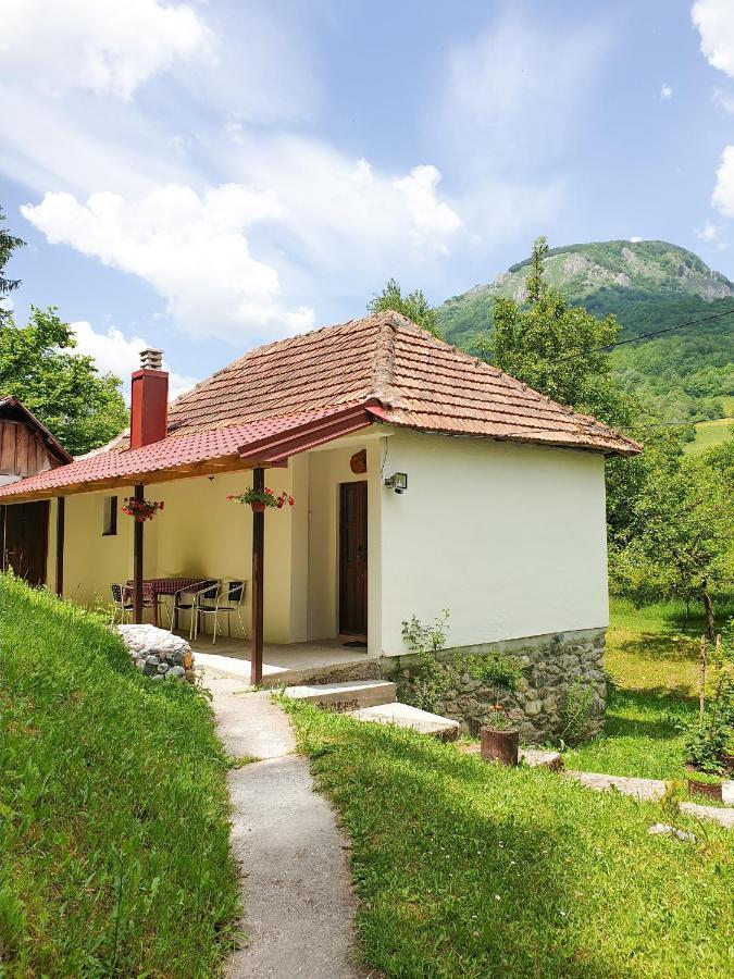Farmstead Green Haven Mojkovac Kültér fotó