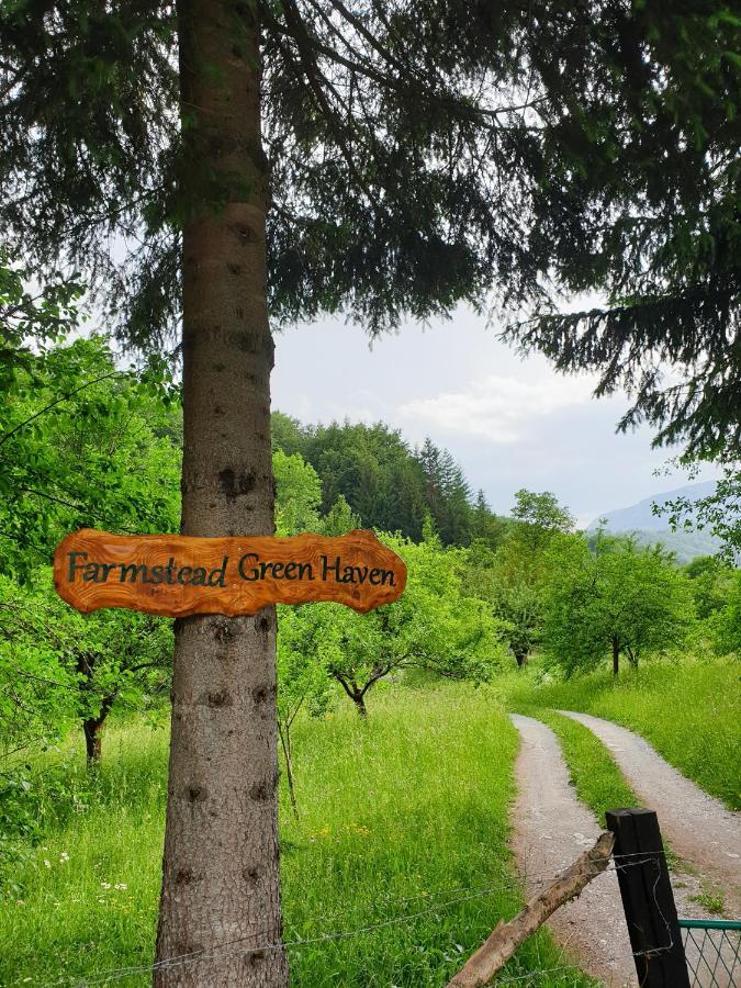 Farmstead Green Haven Mojkovac Kültér fotó