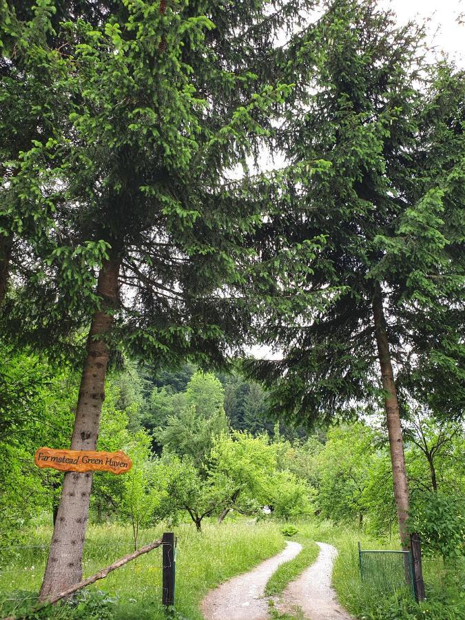 Farmstead Green Haven Mojkovac Kültér fotó