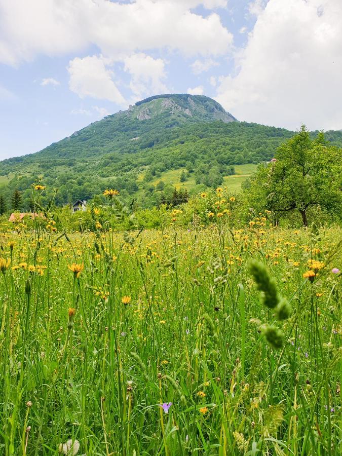 Farmstead Green Haven Mojkovac Kültér fotó