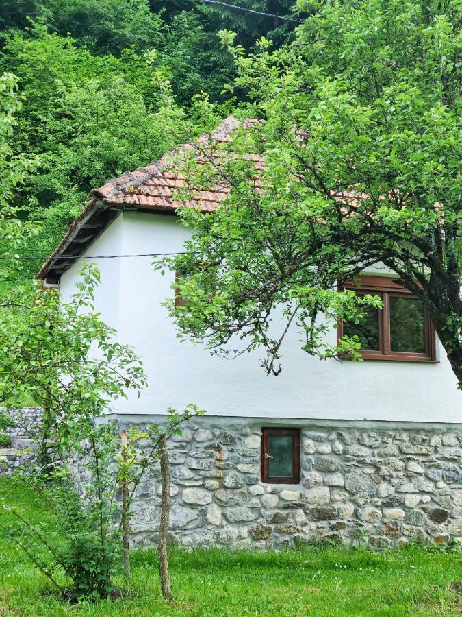 Farmstead Green Haven Mojkovac Kültér fotó