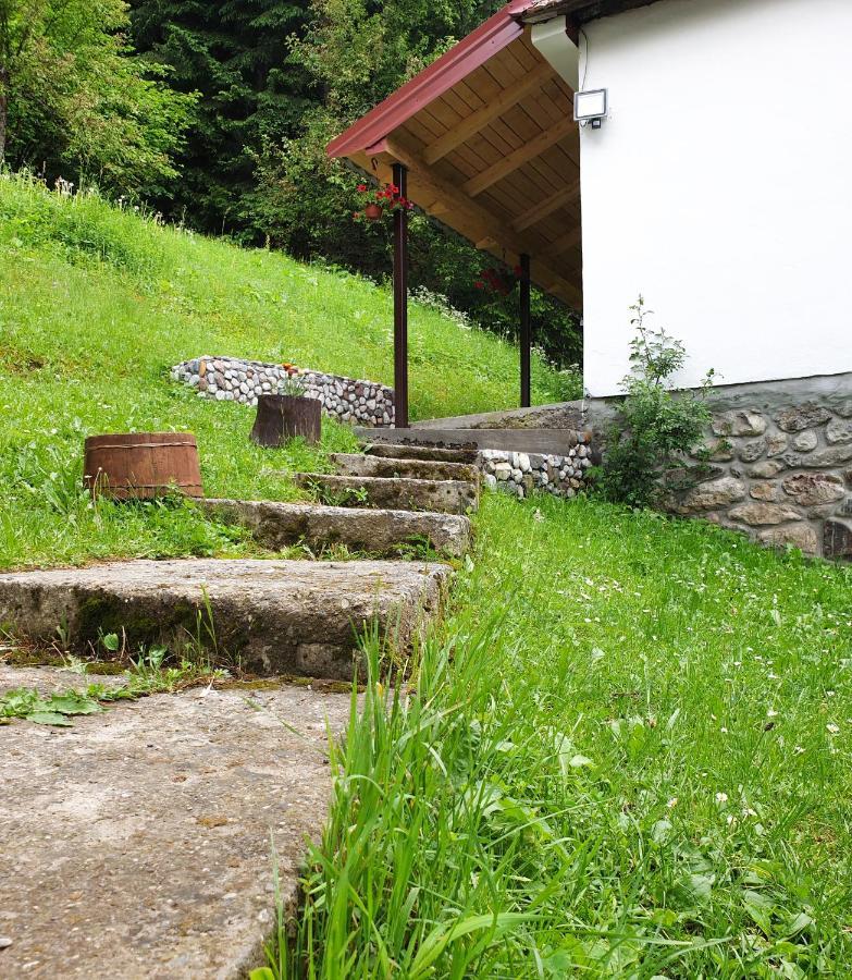 Farmstead Green Haven Mojkovac Kültér fotó