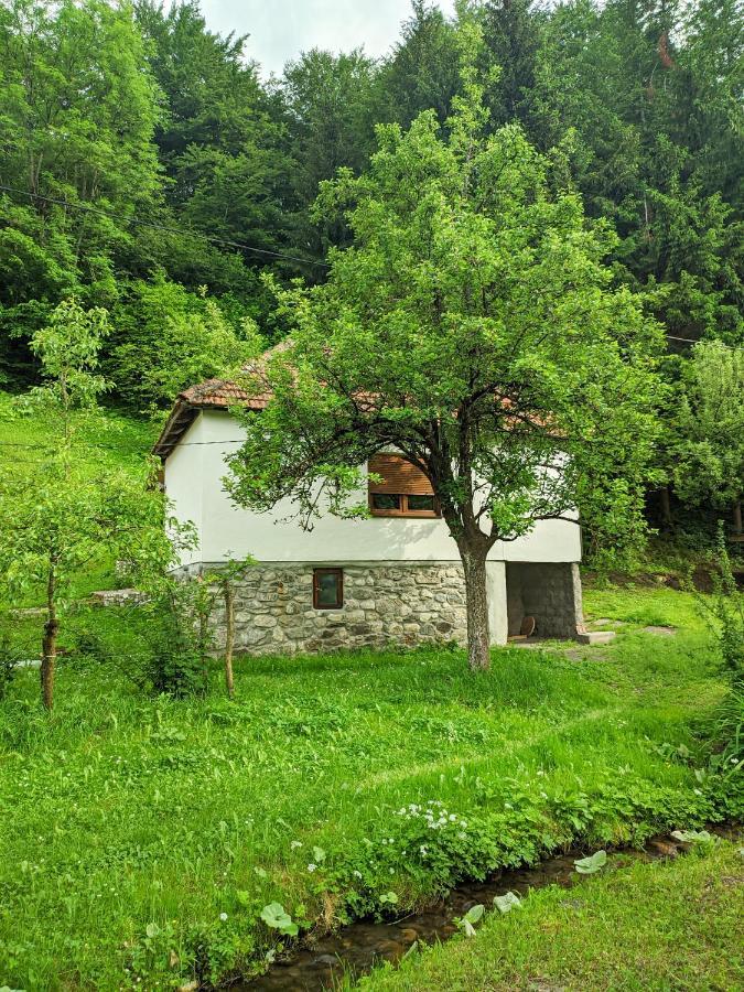 Farmstead Green Haven Mojkovac Kültér fotó