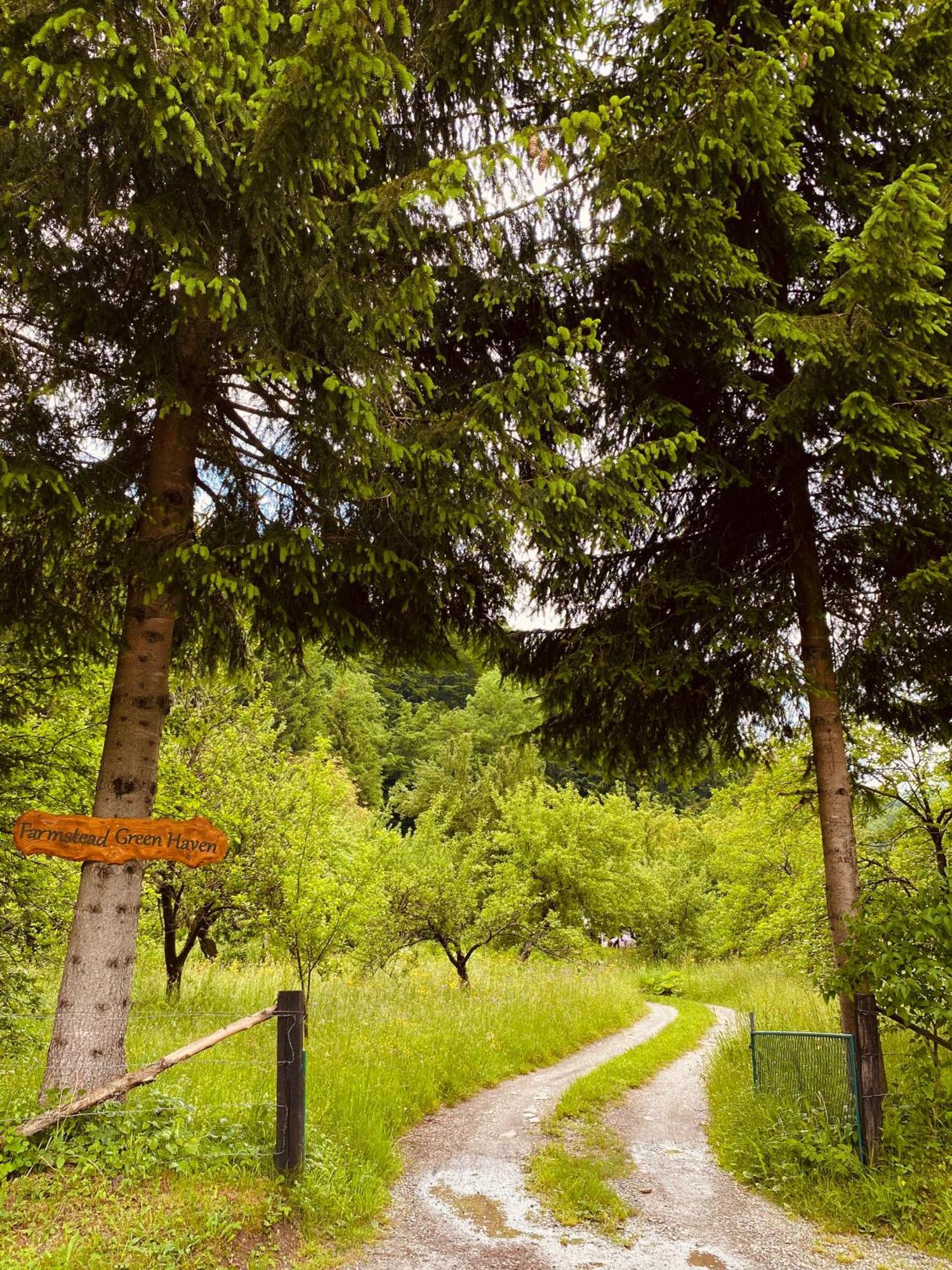 Farmstead Green Haven Mojkovac Kültér fotó
