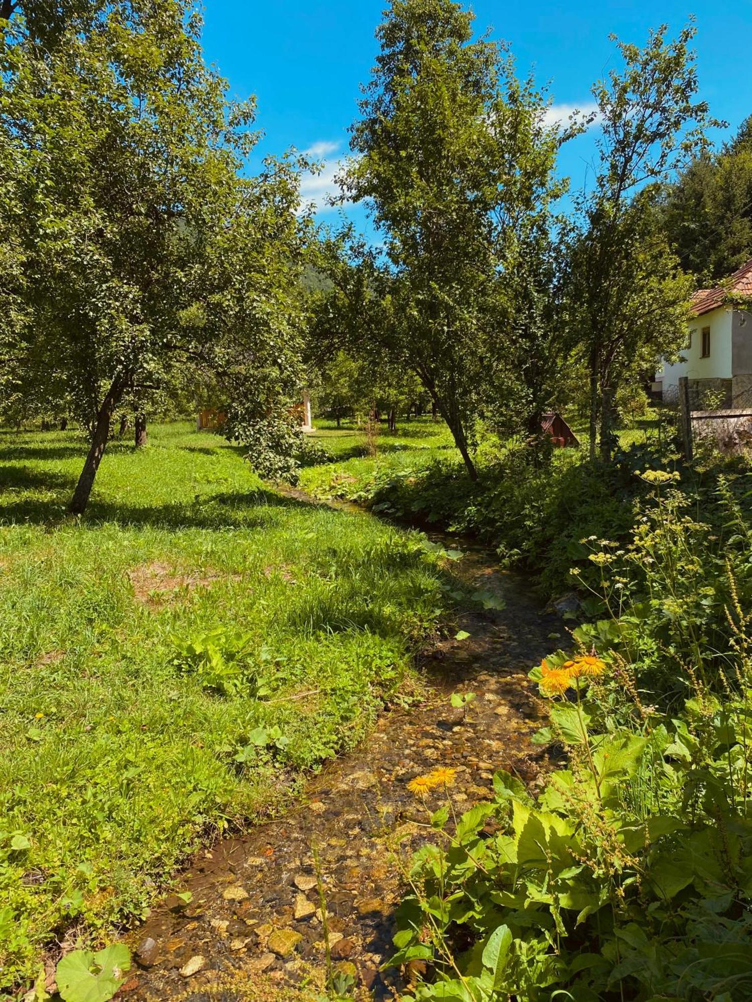 Farmstead Green Haven Mojkovac Kültér fotó
