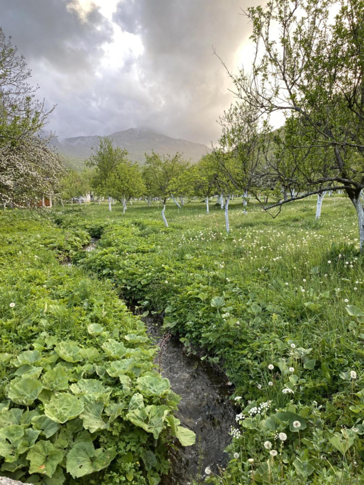 Farmstead Green Haven Mojkovac Kültér fotó